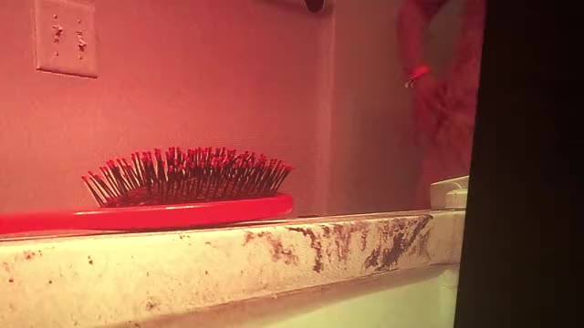 Bathroom Shower clip