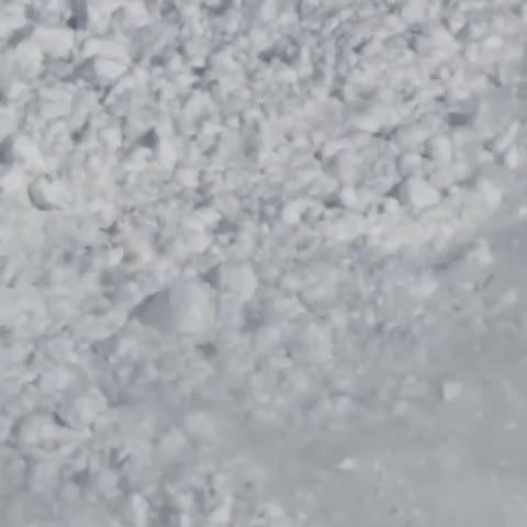 ripsave - Snow rabbit runs over an avalanche to safety.