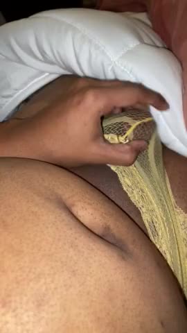 Rubbing myself through my yellow bra and panties (Part 3)