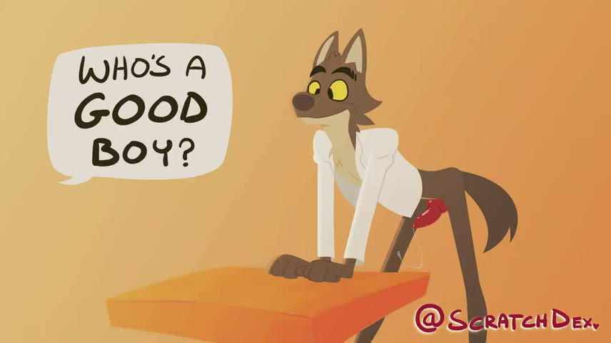 Who's a good boy (Scratchdex)