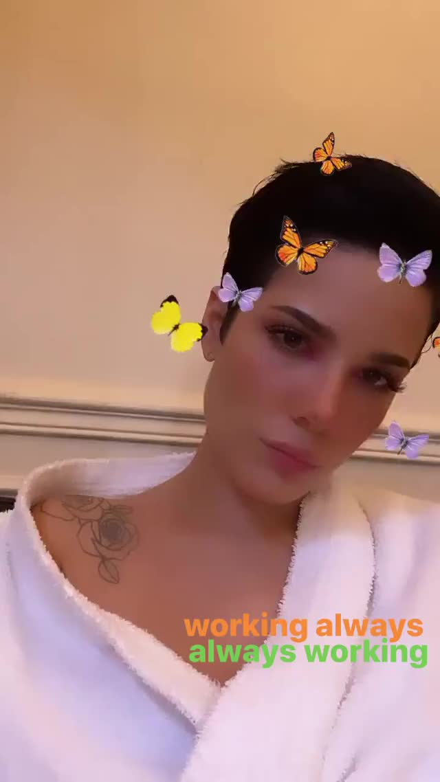 Halsey clip