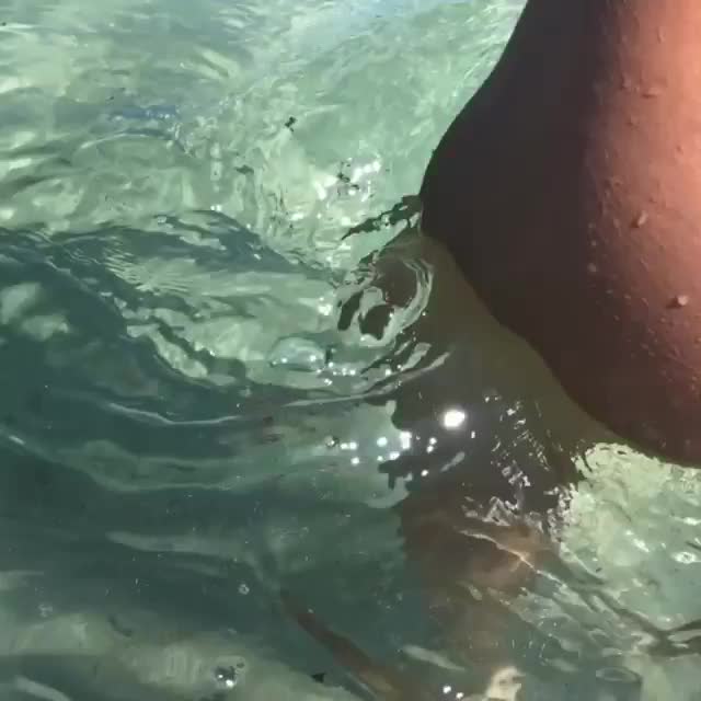  clip