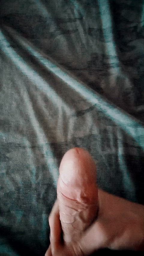 Big Dick Masturbating Cumshot Homemade Handjob Porn GIF
