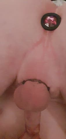 Being plugged up, with a cock ring while sucking on my head has to me a new achievement