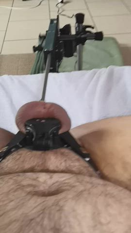 anal chastity fuck machine clip