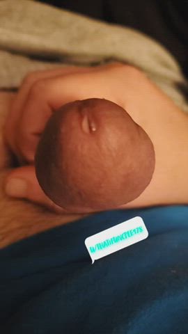 BWC Cock Edging Male Masturbation Masturbating Mutual Masturbation Precum Solo clip