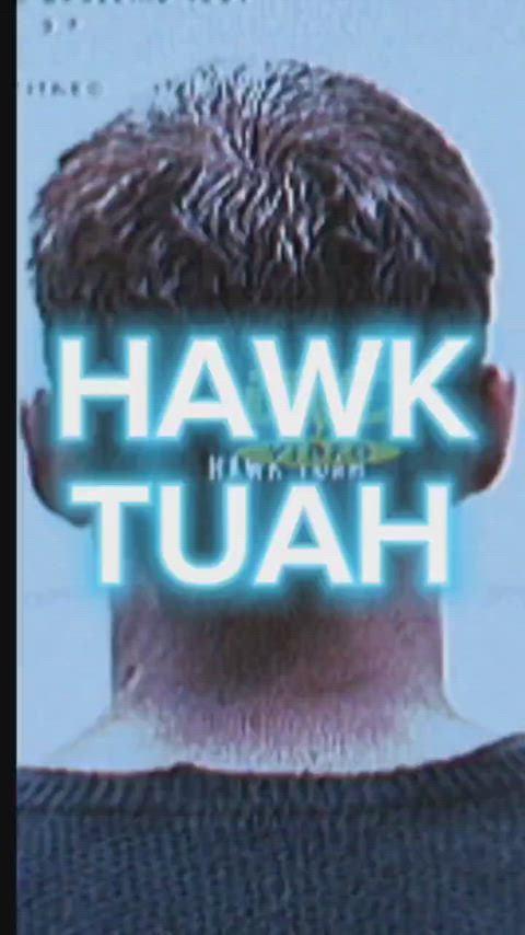 Hawk Tuah Hypno! Audio in comments...