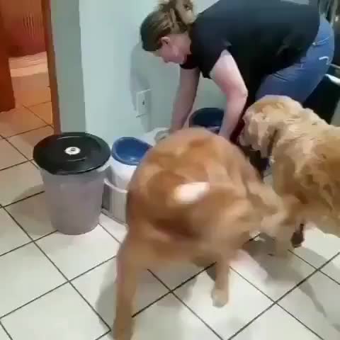  clip