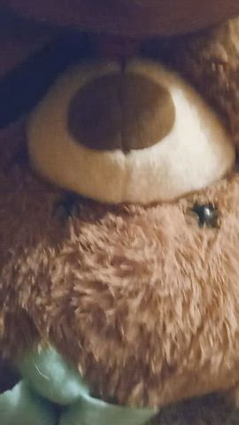 bear sex toy clip