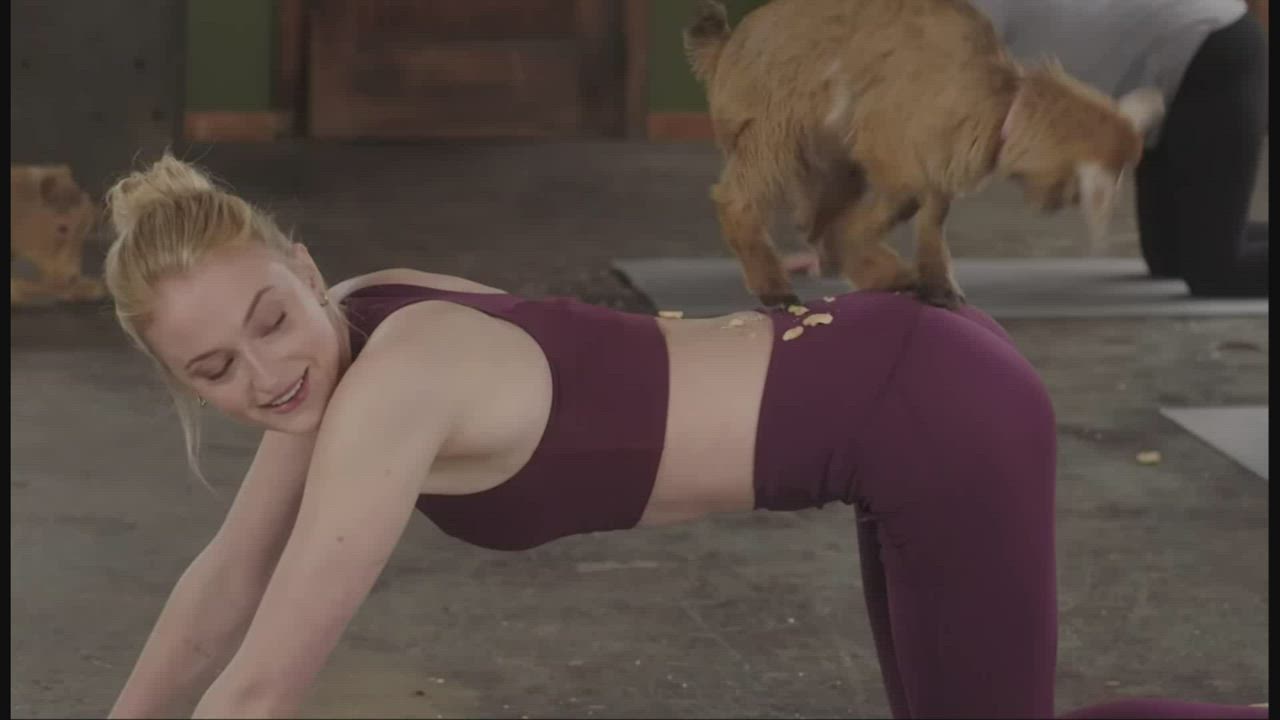 Ass Doggystyle Leggings Sophie Turner clip