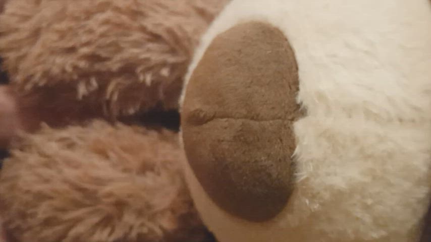 bear sex toy clip