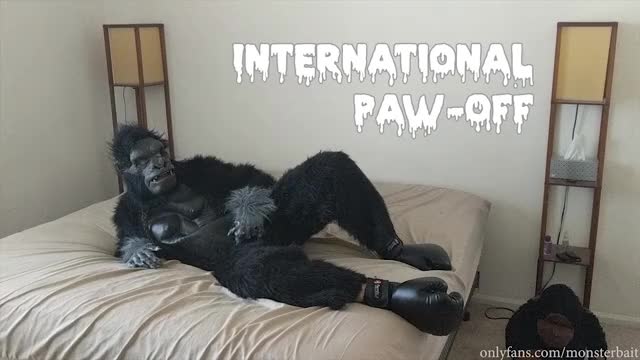 International Paw Off Preview