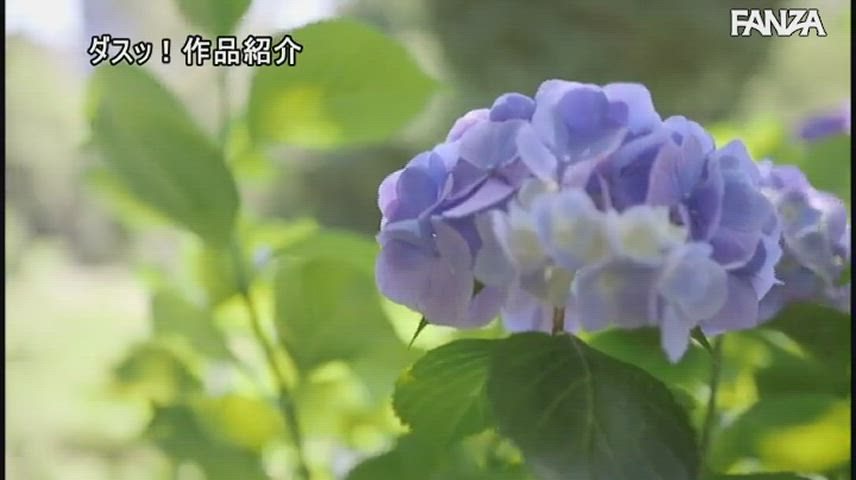 jav trans trans woman clip