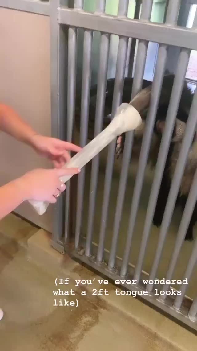  clip