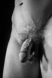 Cock Erection Male Masturbation clip