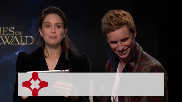 "My wand is so erect." - Fantastic Beasts Cast Respond to IGN Comments