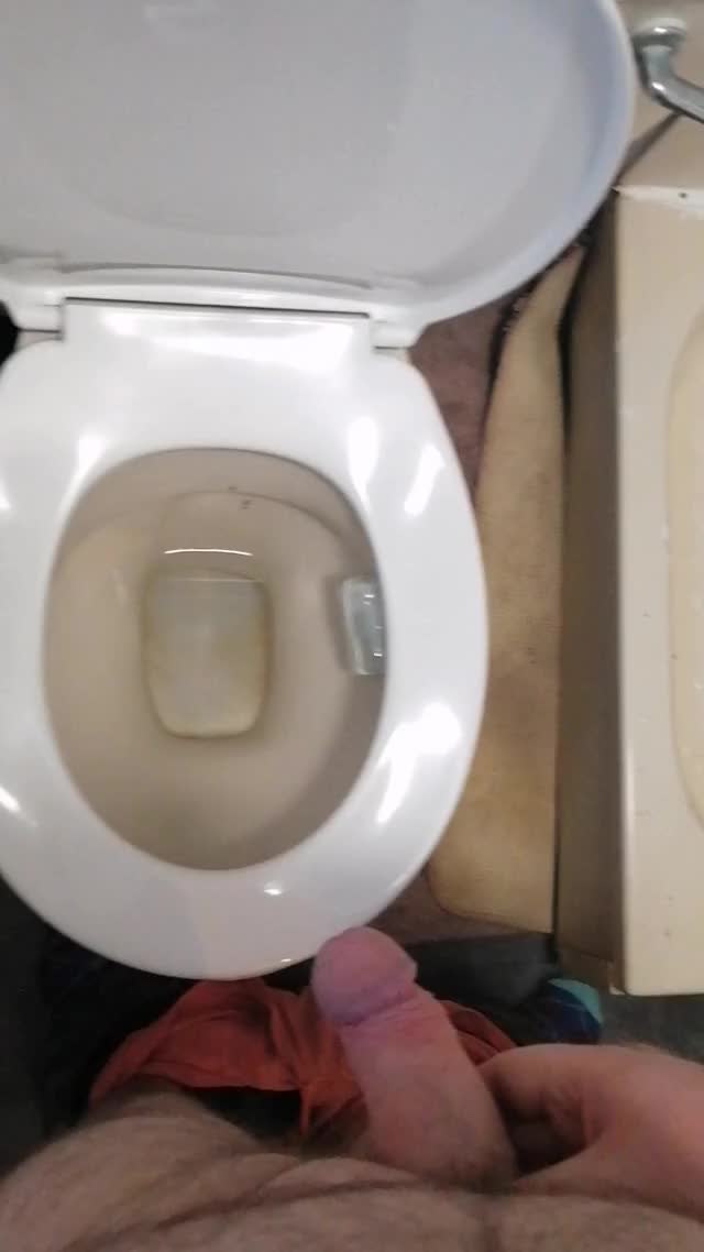 Why use a toilet when you can use anything else