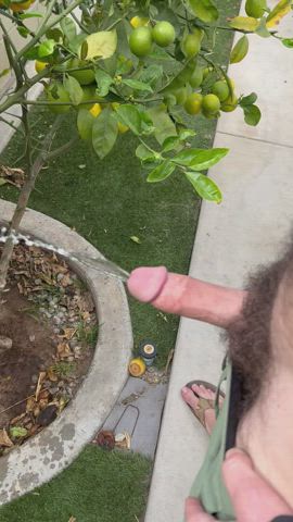 Just a backyard piss with a semi
