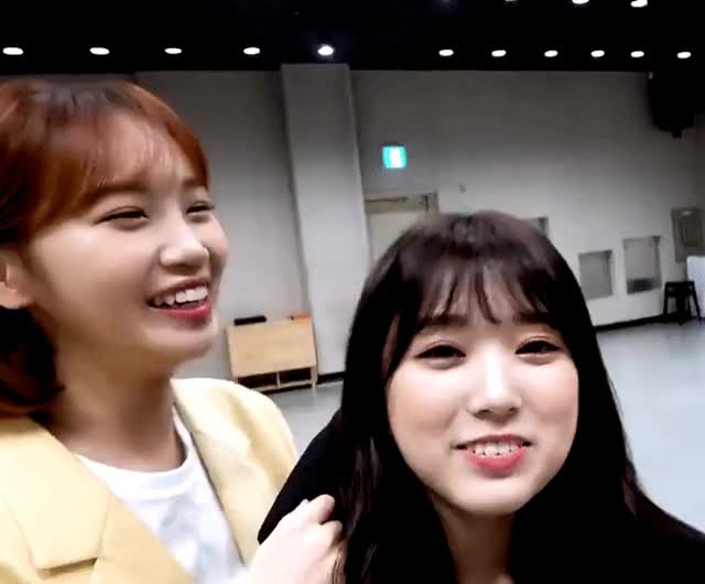  clip