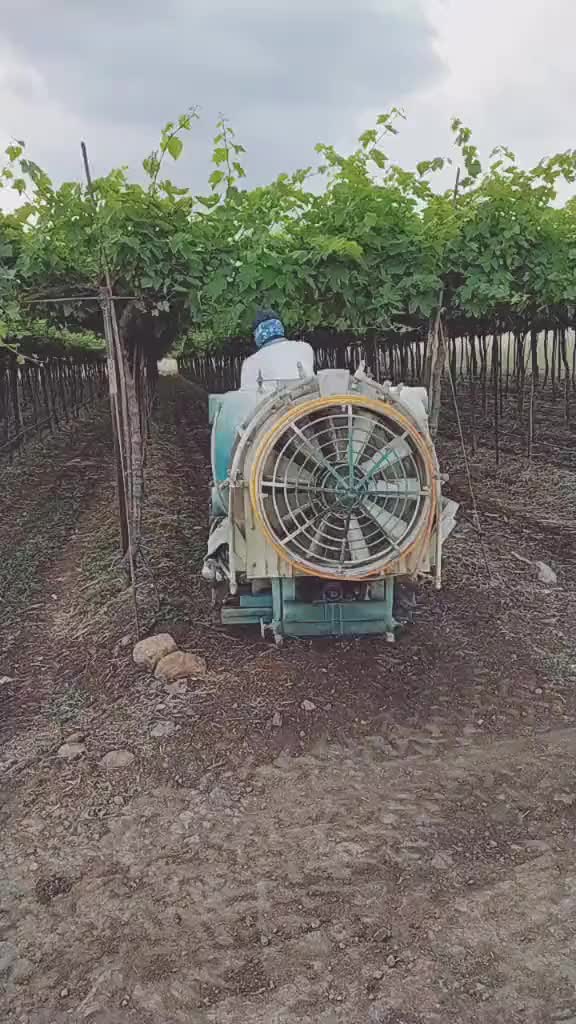 Sprinkling on vines