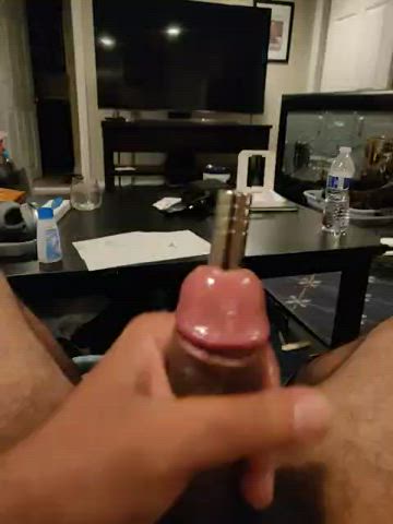 cock object insertion penis clip