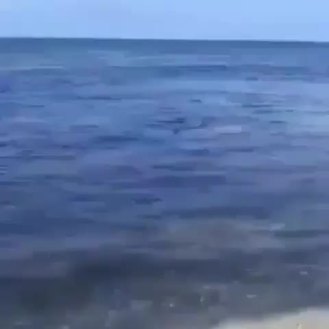  clip