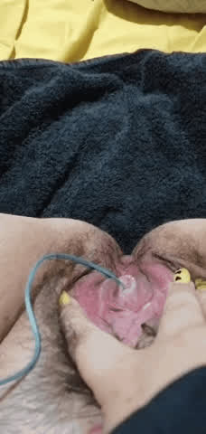 gape pussy pussy spread clip