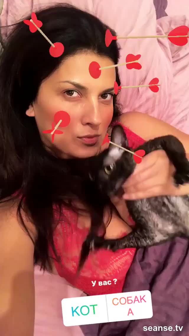 Анна Бонд кот-собака seanse.tv