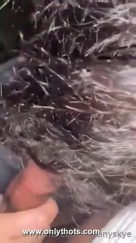  clip