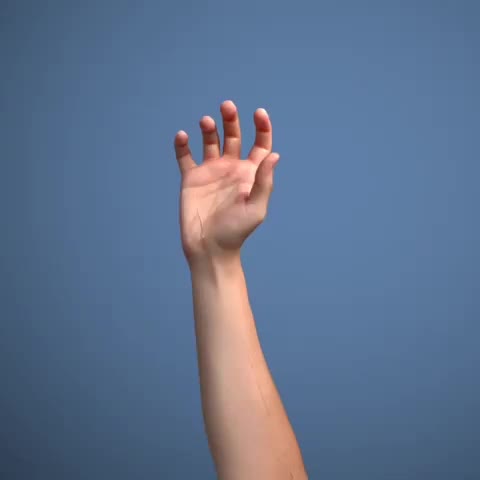  clip