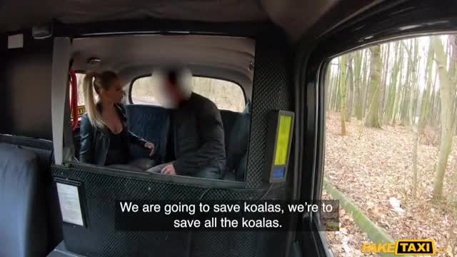 Saving the koalas