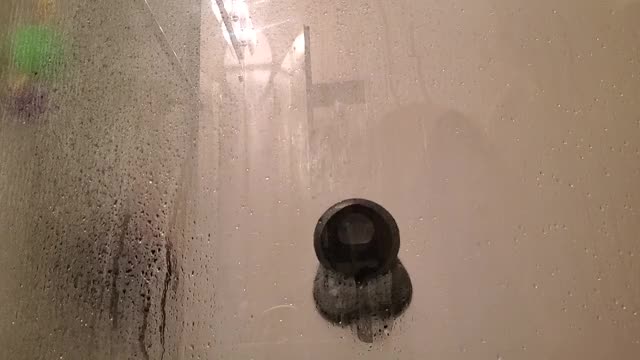 BBD stuck to the shower door