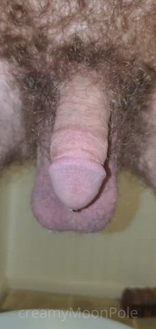 Amateur Bathroom Close Up Cock Fetish Golden Shower Hairy Hairy Cock Pee Peeing Penis