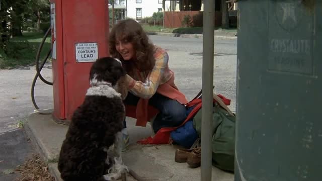 Friday-the-13th-1980-GIF-00-07-22-annie-petting-dog