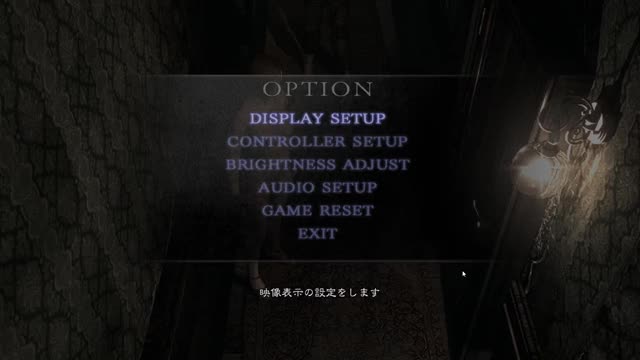 Resident Evil biohazard HD REMASTER 2019.01.06 - 22.17.56.01