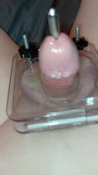 Ballbusting CBT Trans clip