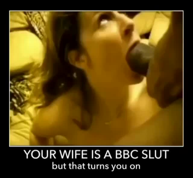 your wife loves bbc v1