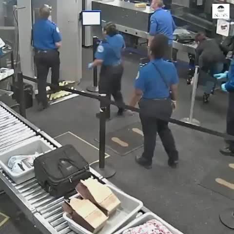  clip