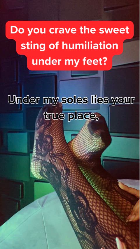 caption feet feet fetish master/slave slave foot-queen footslave-captions clip