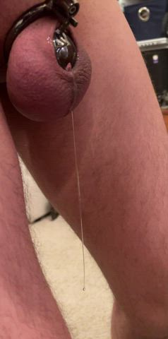 chastity gay precum twink twunk wet wet and messy clip