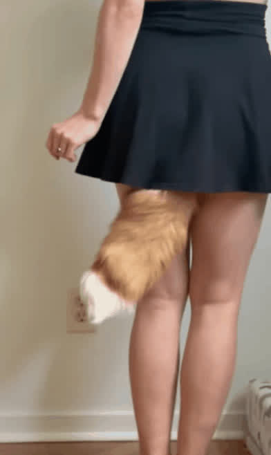 anal dancer skirt tail plug clip