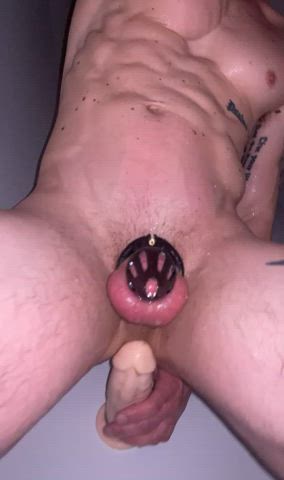 chastity cuckold sissy clip