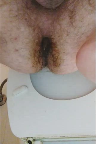 asshole bathroom toilet clip