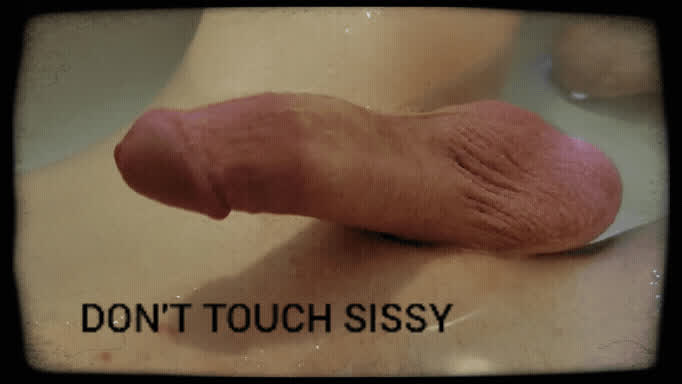 caption chastity sissy sissy slut clip
