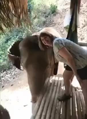 Selfie with an elephant