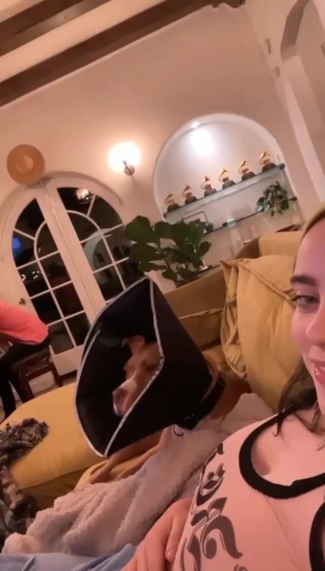 Billie Eilish slapping her tits compilation