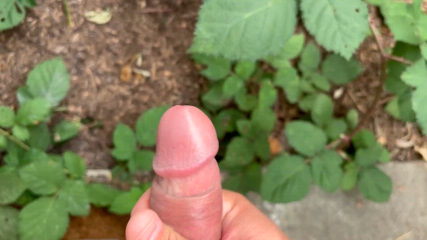 One last blast of Cum in the Garden, before moving