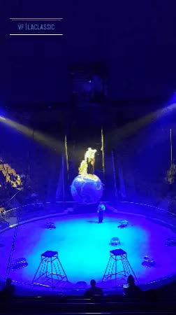 tiger in circus