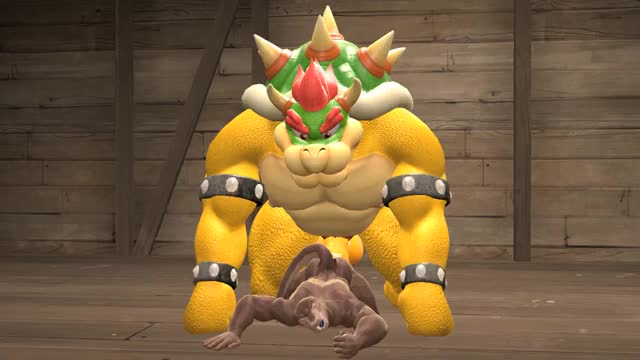 bowser and lizard