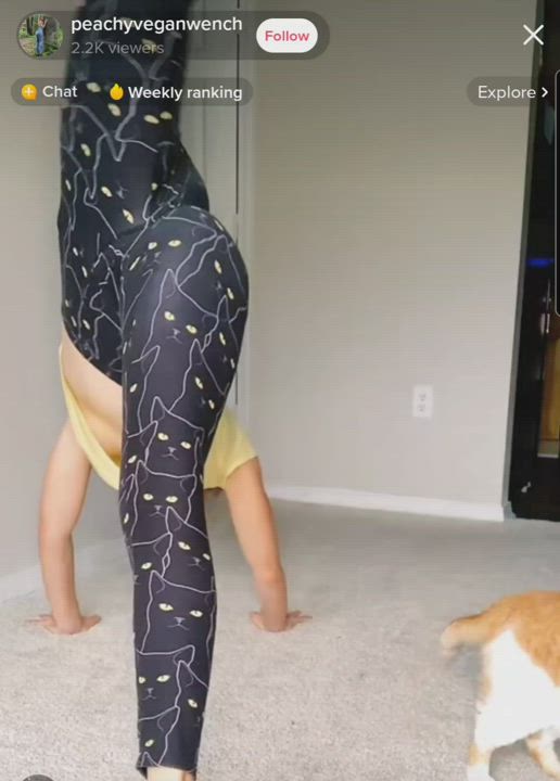 NSFW TikTok Yoga Pants clip